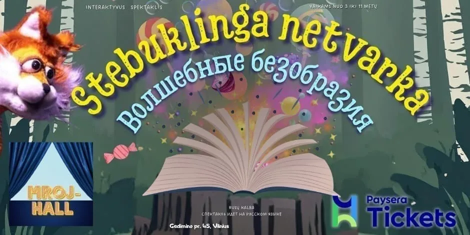 Волшебные безобразия, событие в Вильнюсе