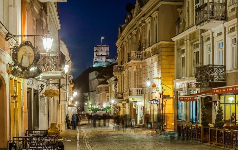 Vilnius City Hotel, hotel w Wilnie