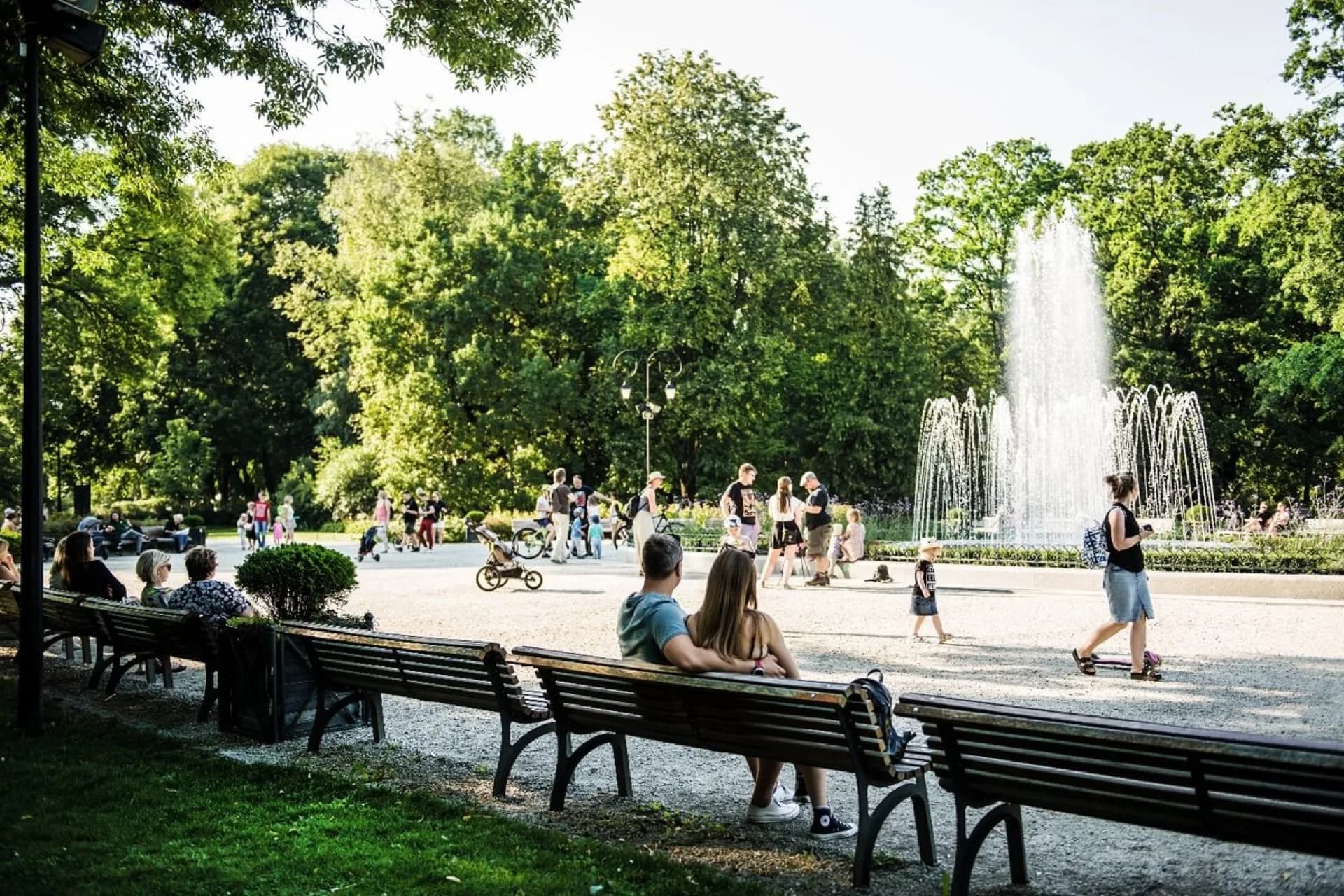 Bernardinų sodas, atrakcja w Wilnie