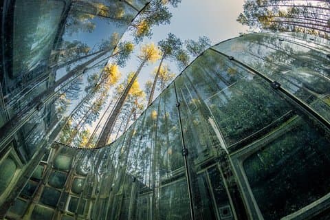 Skip the Line: Europos Parkas, Open-Air Museum Ticket Vilnius, Lithuania, pramoga Vilniuje