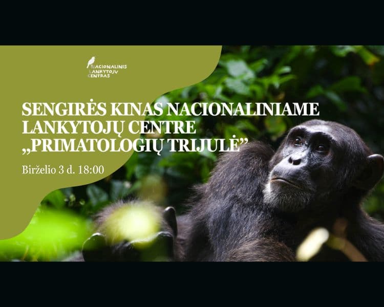 SENGIRĖS KINAS im Nationalen Besucherzentrum: DAS PRIMATOLOGINNEN-TRIO, Veranstaltung in Vilnius