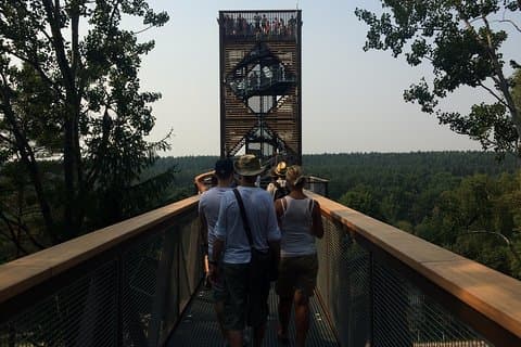 Excursion privée à la journée à Anyksciai et la colline des Croix au départ de Vilnius, pramoga Vilniuje