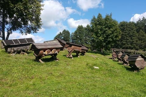 Excursion d'une journée au parc national d'Aukstaitija depuis Vilnius, pramoga Vilniuje