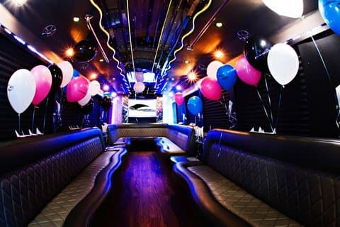 Privati ekskursija: vakarėlių autobusas ir šokėja 3 valandoms Vilniuje, pramoga Vilniuje
