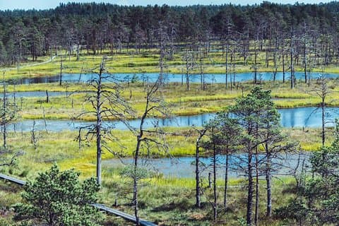 Self guided Walking in the Baltic States in 14 Days, pramoga Vilniuje
