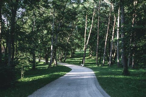 Walking Escape in Trakai National Park, pramoga Vilniuje