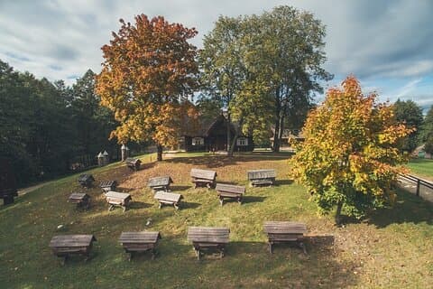 Excursion d'une journée au parc national d'Aukstaitija, pramoga Vilniuje