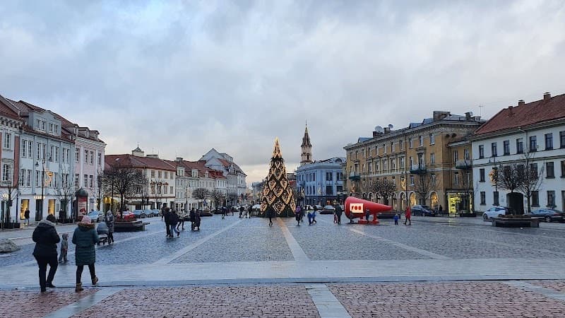 Que faire à Vilnius : le guide complet 2026